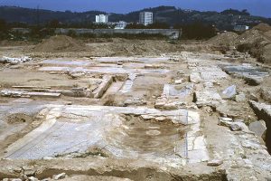 Maison aux Cinq Mosaiques -Site archéologique de Saint-Romain-en-Gal