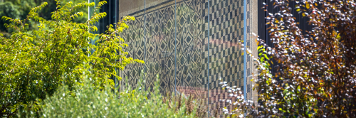 La mosaïque Cisiriana, un trésor gallo-romain inauguré à Sérézin-du-Rhône_
